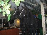 Beim XXL Essen